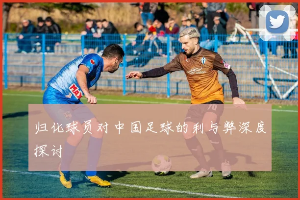 归化球员对中国足球的利与弊深度探讨